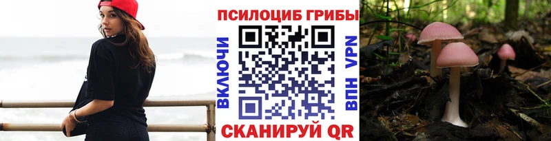 Псилоцибиновые грибы GOLDEN TEACHER  MEGA ONION  Усолье 