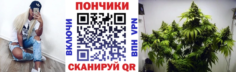 Бошки Шишки план  Усолье 